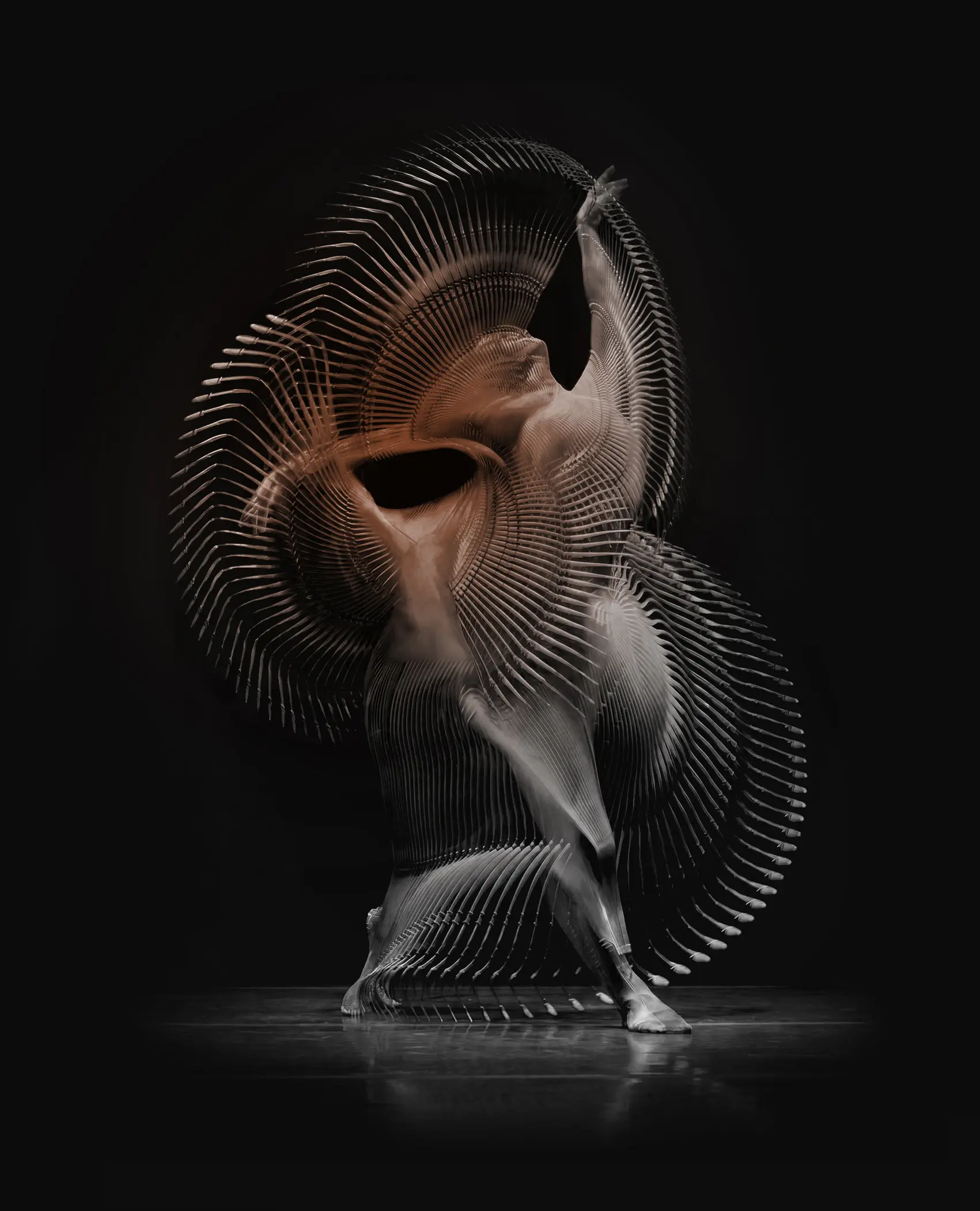 A dancer arched mid-turn against black, the motion trailing into sweeping fans of repeated limbs